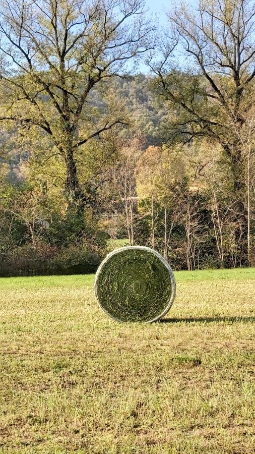 Ome Corte Martinola Bed&Breakfast In Franciacorta المظهر الخارجي الصورة