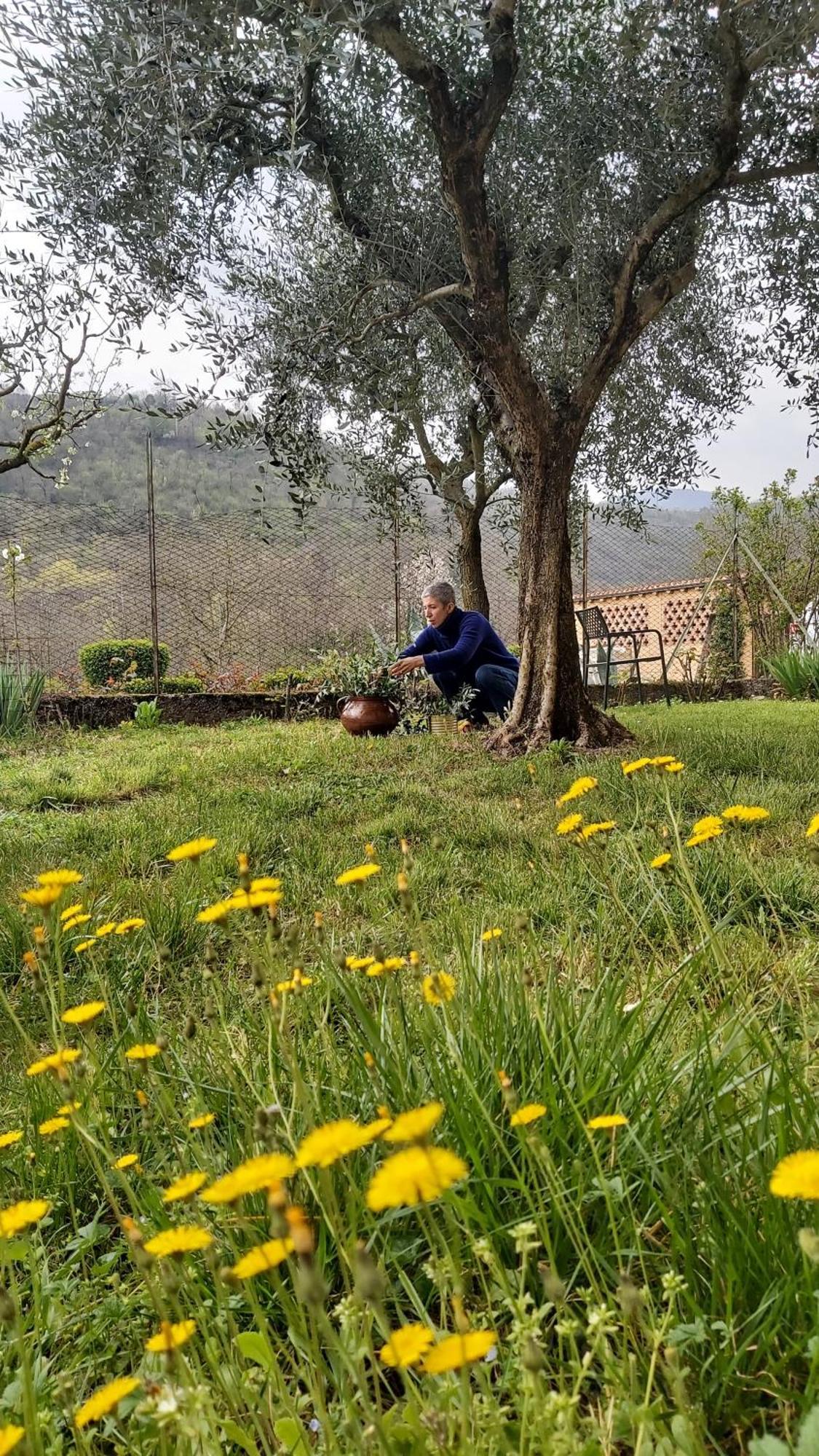 Ome Corte Martinola Bed&Breakfast In Franciacorta المظهر الخارجي الصورة